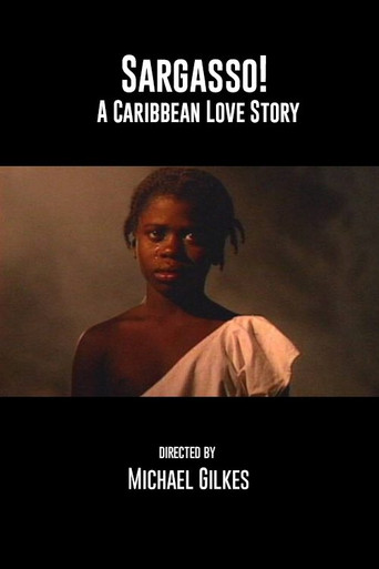 Sargasso: A Caribbean Love Story poster