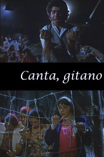Canta Gitano poster