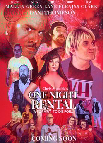 One Night Rental poster