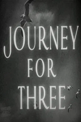 Journey for Three poster