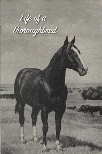Life of a Thoroughbred poster