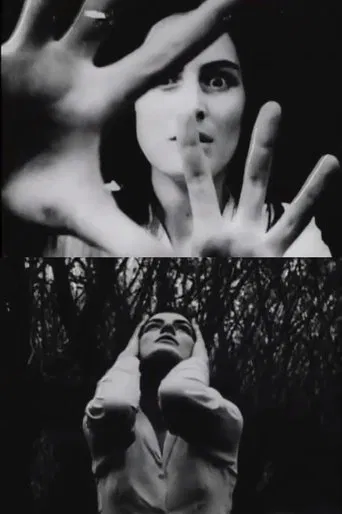 Hands of Purple Distances poster