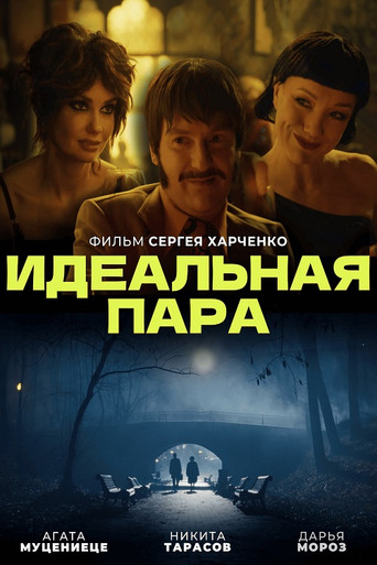 Идеальная пара poster