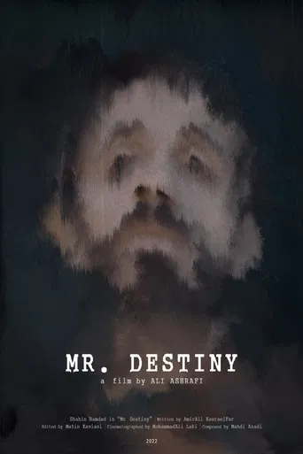 Mr Destiny poster