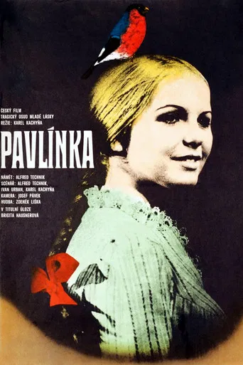 Pavlínka poster