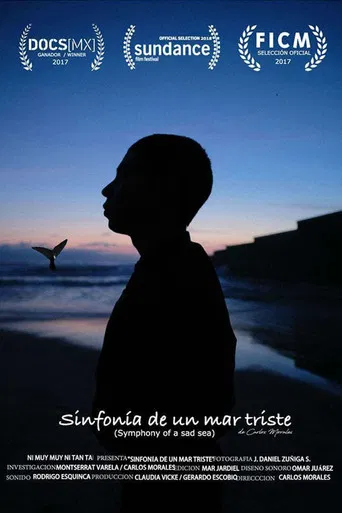 Symphony of a Sad Sea poster