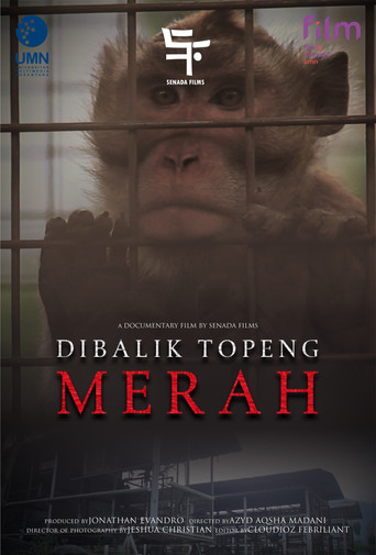 Di Balik Topeng Merah poster