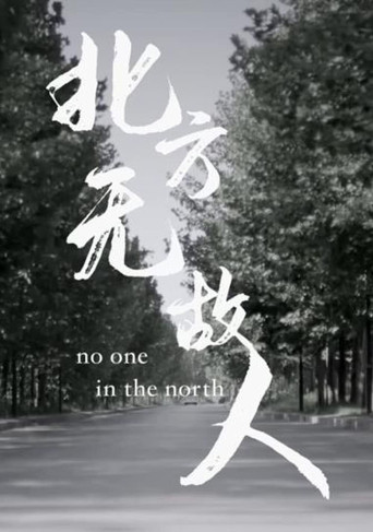 No One in the North poster