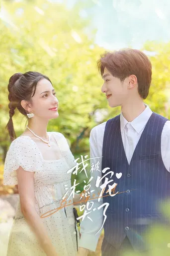 我被沐总宠哭了 poster