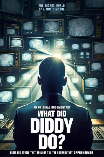 What Did Diddy Do? poster