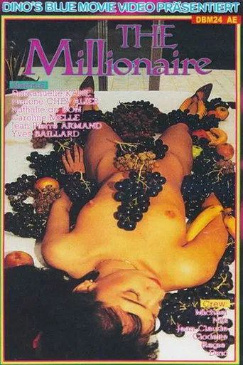 The Millionaire poster