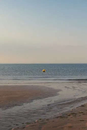 albion, refreshed poster