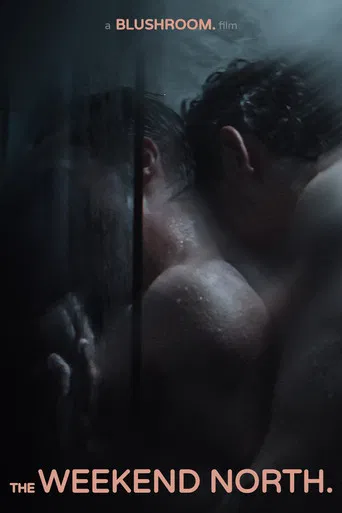 The Weekend North poster