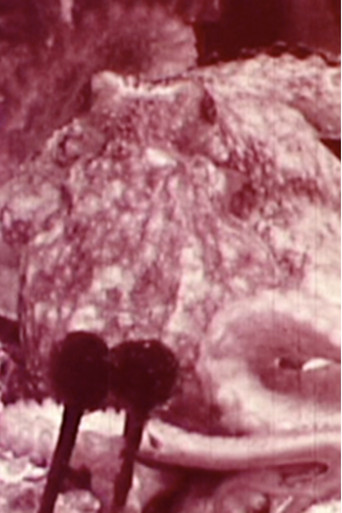 Aurora Borealis poster