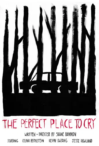 The Perfect Place to Cry poster