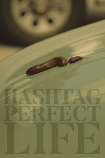 Hashtag Perfect Life poster