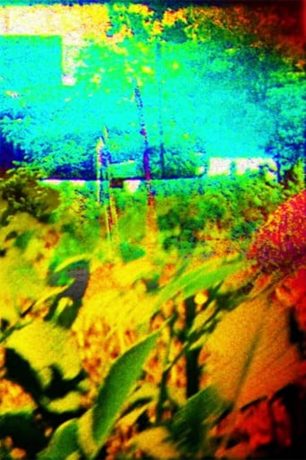 The Colors of Boulder in the Summer poster