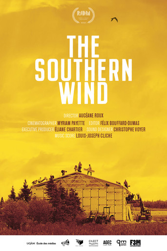 The Southern Wind poster