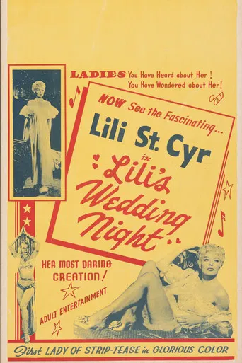 Lili's Wedding Night poster