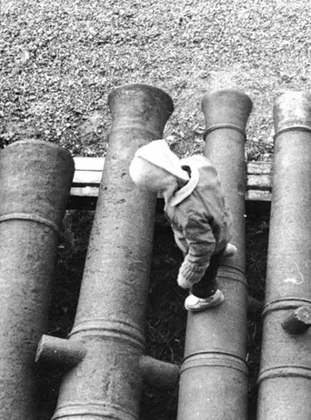 Viapori - Suomenlinna poster