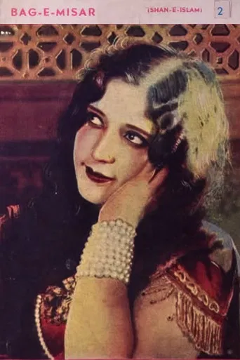 Baag-E-Misar poster