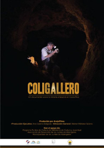 Coligallero poster