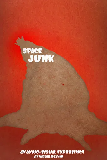 Space Junk poster