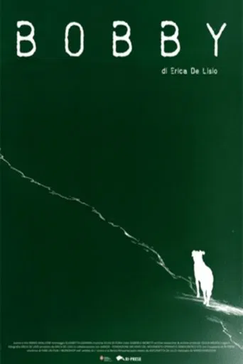 Bobby poster
