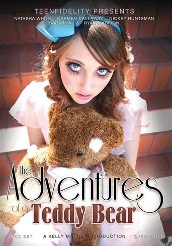 The Adventures of a Teddy Bear poster