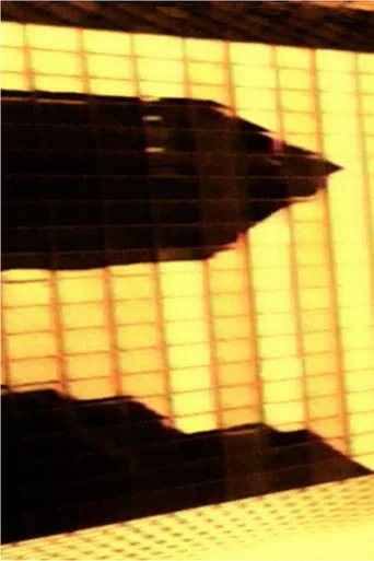 Commission Stratégie à 3 Ans poster