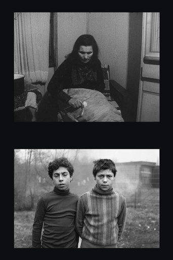 Zigeuner in Duisburg poster