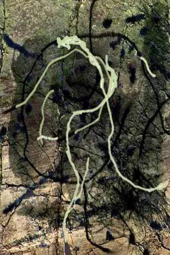 Thunder river (Places and Monuments 4) poster