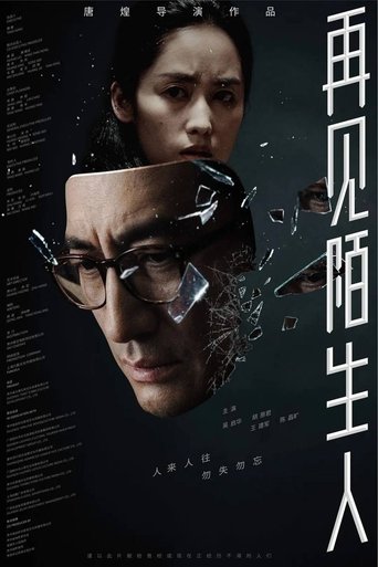 再见，陌生人 poster