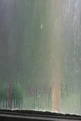 Fogged Windows poster