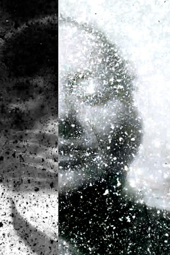 A Venture into Vegan Filmmaking poster