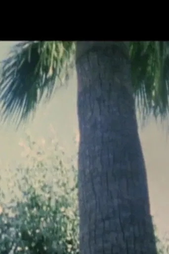 Turkish Delight poster