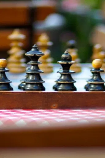 Rain in Sarajevo poster