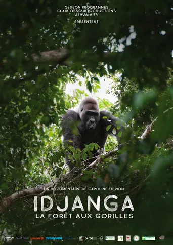 Idjanga, la forêt aux gorilles poster