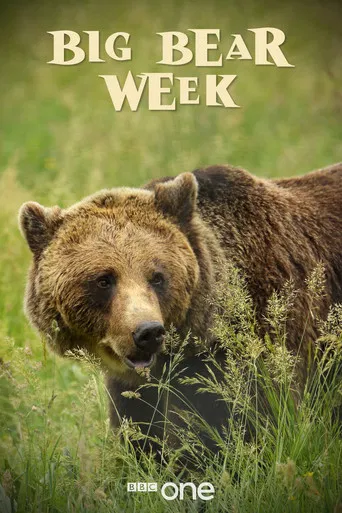 Big Bear Week poster