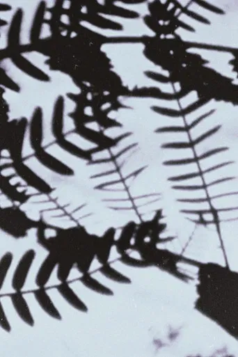 Transparent Things poster