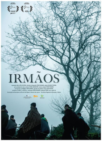 Irmãos poster