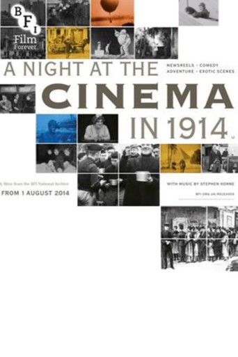 A Night at the Cinema in 1914 poster