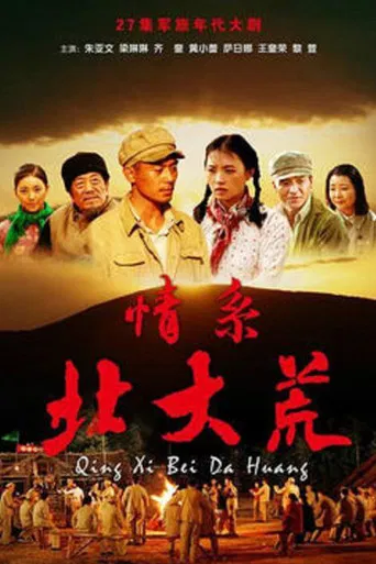 情系北大荒 poster