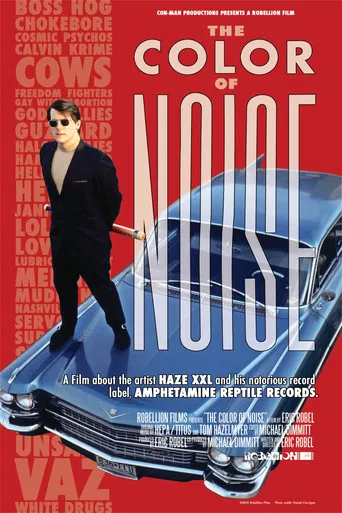 The Color of Noise poster
