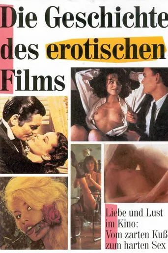 The Story of Erotic Film poster
