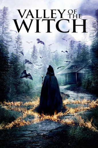 Valley of the Witch poster