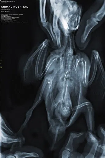 Animal Hospital poster