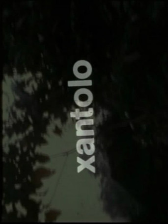 Xantolo, fiesta de la muerte poster