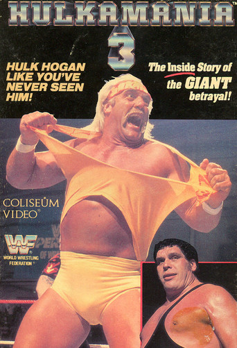 Hulkamania 3 poster