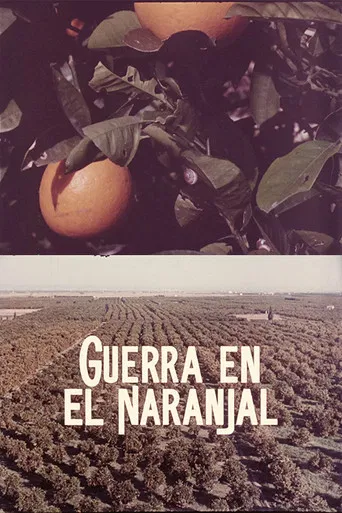 Guerra en el naranjal poster